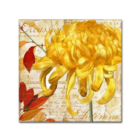 Color Bakery 'Chrysanthemums II' Canvas Art,14x14